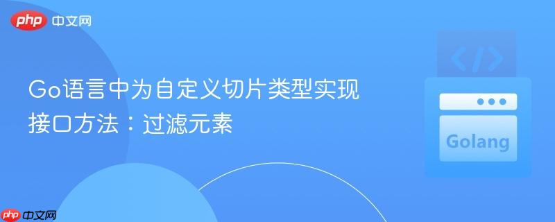 go语言中为自定义切片类型实现接口方法:过滤元素