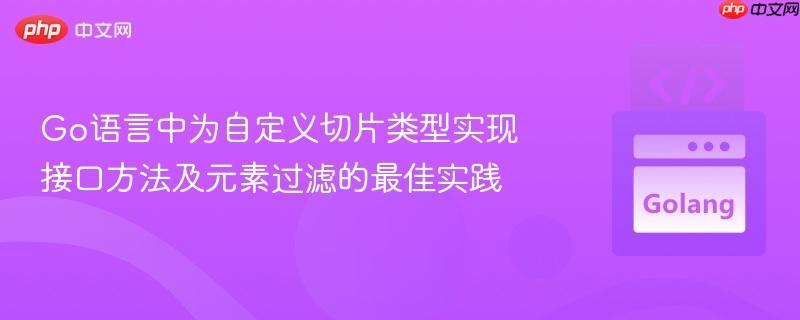 Go语言中为自定义切片类型实现接口方法及元素过滤的最佳实践