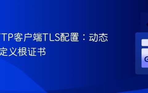 Go HTTP客户端TLS配置：动态加载自定义根证书