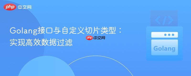 Golang接口与自定义切片类型:实现高效数据过滤