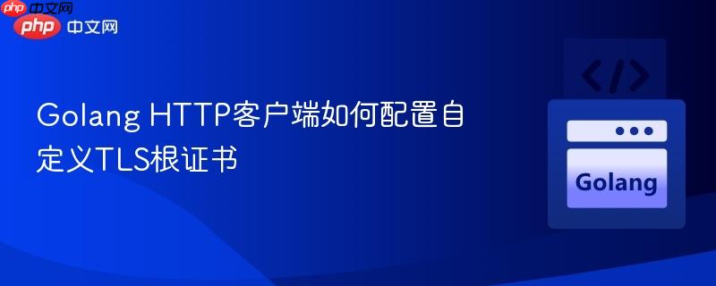 Golang HTTP客户端如何配置自定义TLS根证书