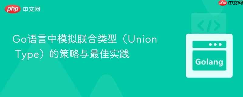 Go语言中模拟联合类型(Union Type)的策略与最佳实践