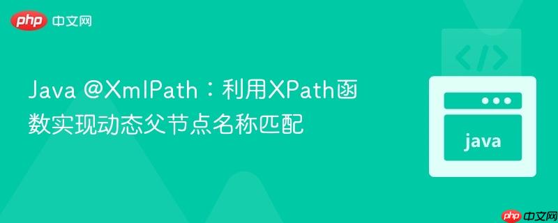 Java @XmlPath:利用XPath函数实现动态父节点名称匹配