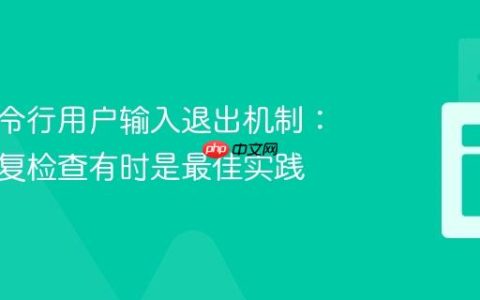 优化命令行用户输入退出机制：为何重复检查有时是最佳实践