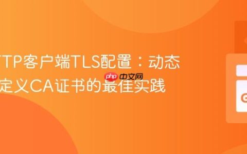 Go HTTP客户端TLS配置：动态加载自定义CA证书的最佳实践