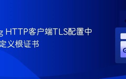 Golang HTTP客户端TLS配置中指定自定义根证书