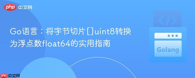 Go语言：将字节切片[]uint8转换为浮点数float64的实用指南