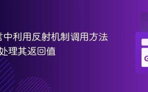 Go语言中利用反射机制调用方法并正确处理其返回值