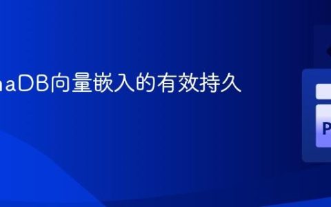 ChromaDB向量嵌入的有效持久化策略