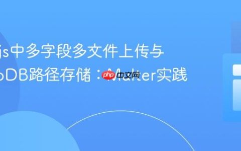 Node.js中多字段多文件上传与MongoDB路径存储：Multer实践指南