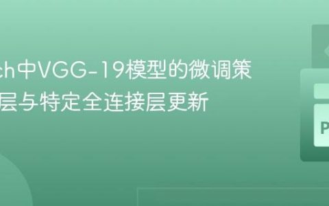 PyTorch中VGG-19模型的微调策略：全层与特定全连接层更新实践