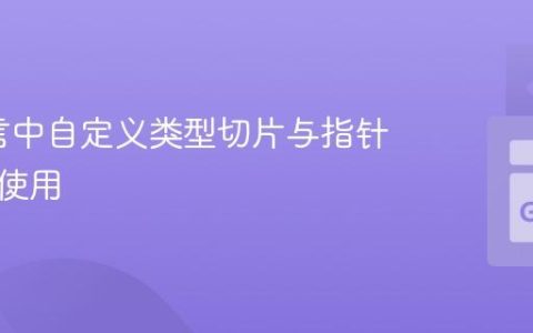 Go语言中自定义类型切片与指针的正确使用