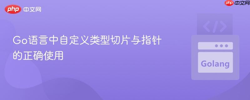 go语言中自定义类型切片与指针的正确使用