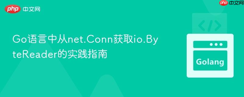 Go语言中从net.Conn获取io.ByteReader的实践指南
