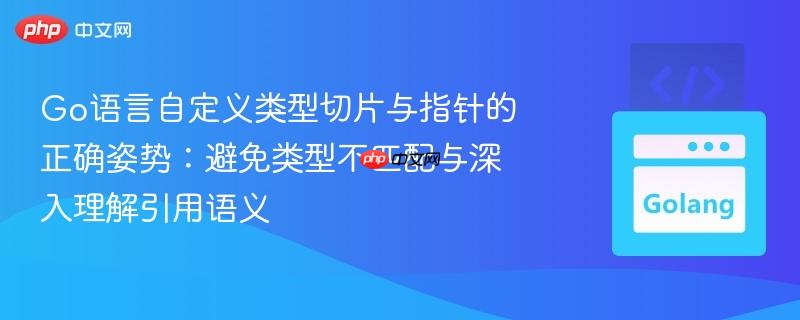 Go语言自定义类型切片与指针的正确姿势:避免类型不匹配与深入理解引用语义