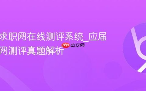 应届生求职网在线测评系统_应届生求职网测评真题解析