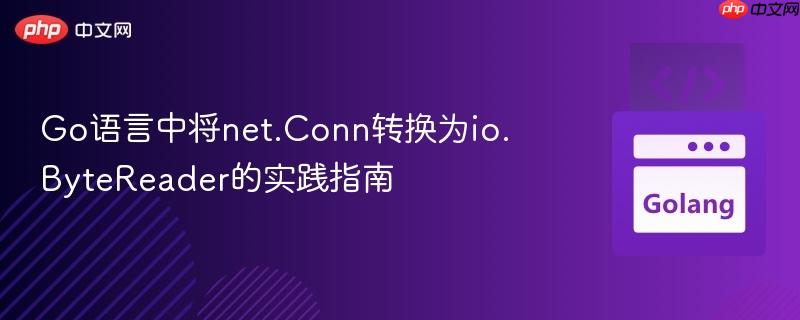 Go语言中将net.Conn转换为io.ByteReader的实践指南