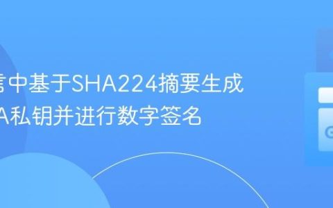 Go语言中基于SHA224摘要生成ECDSA私钥并进行数字签名