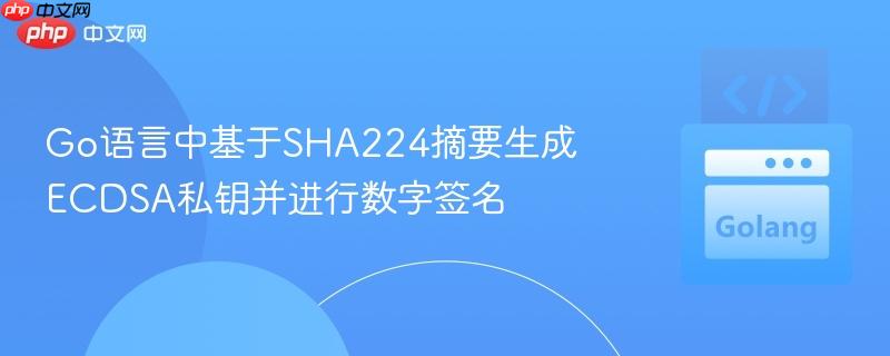 Go语言中基于SHA224摘要生成ECDSA私钥并进行数字签名