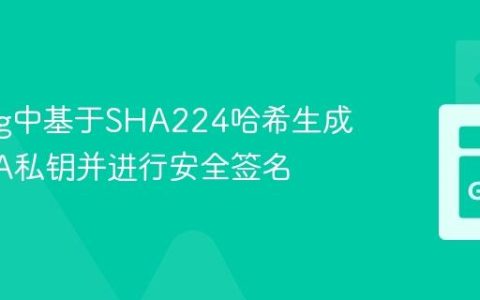 Golang中基于SHA224哈希生成ECDSA私钥并进行安全签名