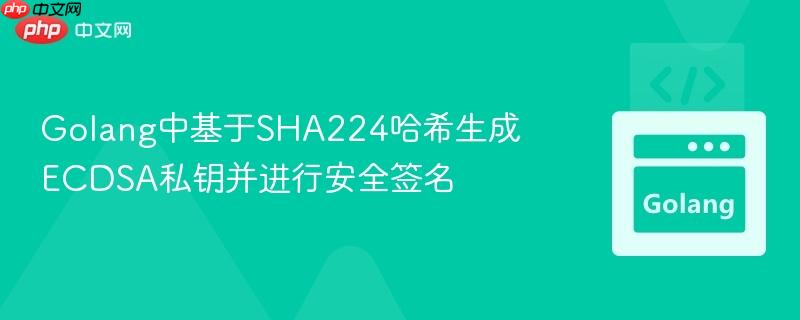 golang中基于sha224哈希生成ecdsa私钥并进行安全签名