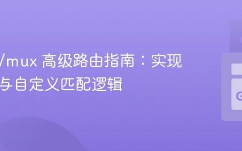 gorilla/mux 高级路由指南：实现通配符与自定义匹配逻辑
