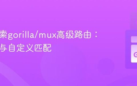 深入探索gorilla/mux高级路由：通配符与自定义匹配