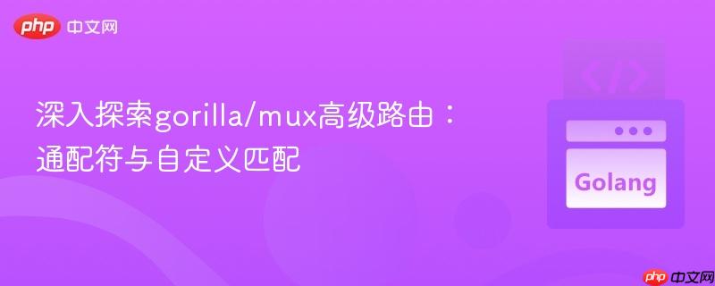 深入探索gorilla/mux高级路由:通配符与自定义匹配