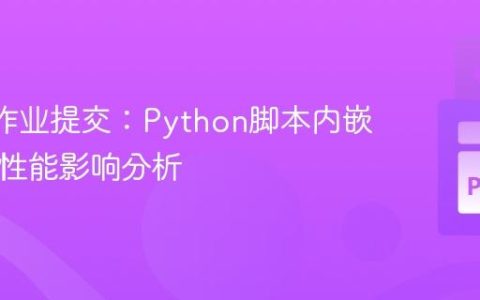 Slurm作业提交：Python脚本内嵌srun的性能影响分析