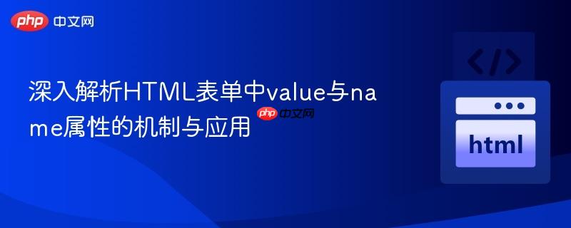 深入解析HTML表单中value与name属性的机制与应用
