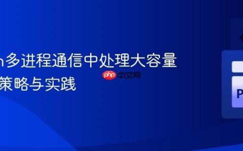 Python多进程通信中处理大容量数据的策略与实践