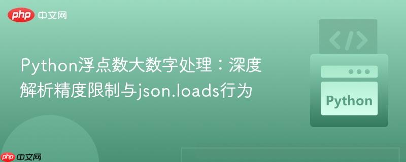 Python浮点数大数字处理：深度解析精度限制与json.loads行为