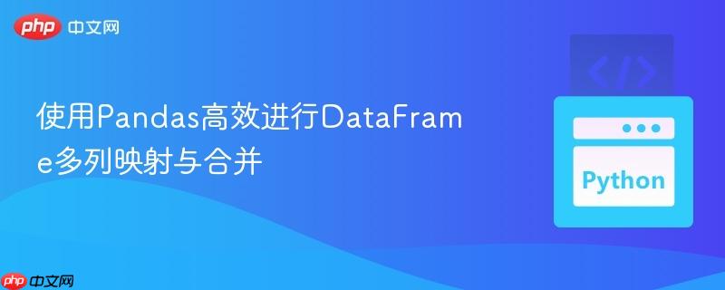 使用pandas高效进行dataframe多列映射与合并