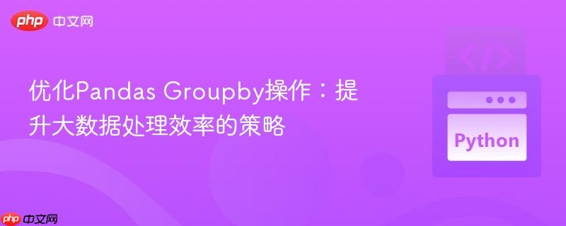 优化Pandas Groupby操作：提升大数据处理效率的策略