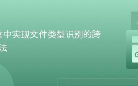 Go语言中实现文件类型识别的跨平台方法