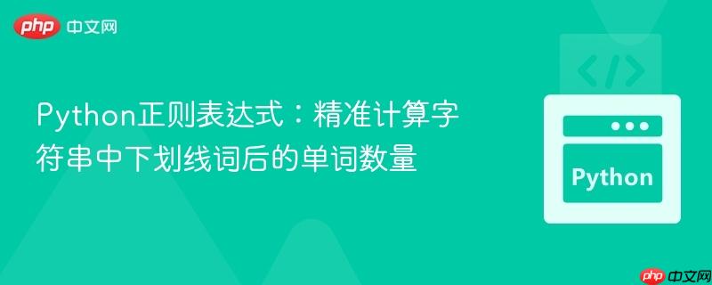 Python正则表达式:精准计算字符串中下划线词后的单词数量