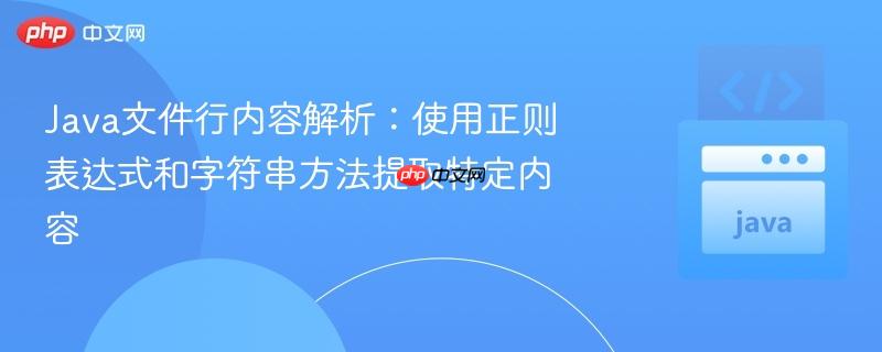 Java文件行内容解析:使用正则表达式和字符串方法提取特定内容