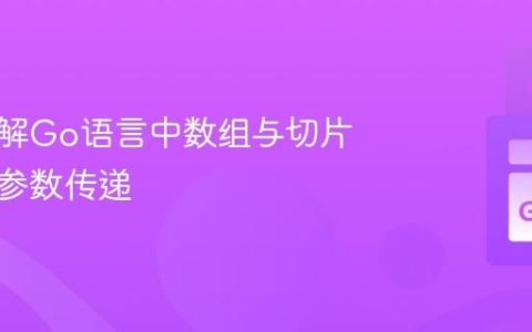 深入理解Go语言中数组与切片的函数参数传递