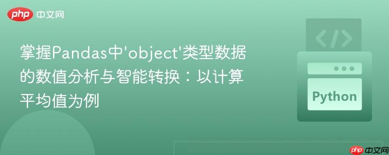 掌握pandas中'object'类型数据的数值分析与智能转换:以计算平均值为例