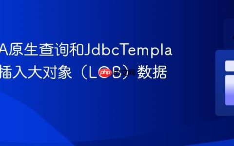 使用JPA原生查询和JdbcTemplate正确插入大对象（LOB）数据