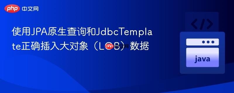 使用JPA原生查询和JdbcTemplate正确插入大对象(LOB)数据