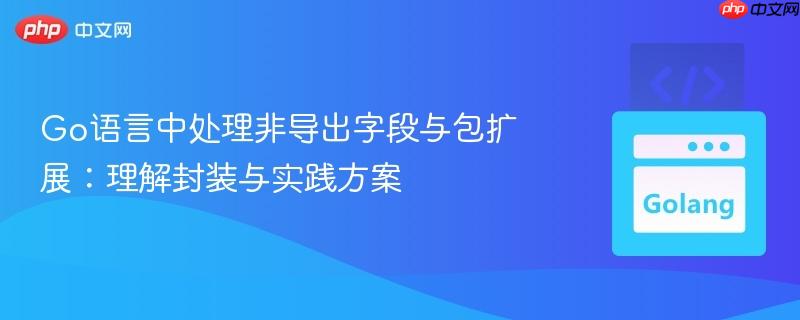 Go语言中处理非导出字段与包扩展:理解封装与实践方案