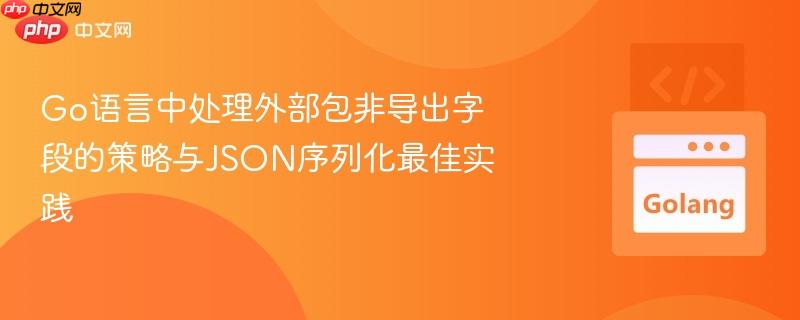 go语言中处理外部包非导出字段的策略与json序列化最佳实践