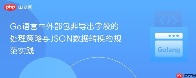 Go语言中外部包非导出字段的处理策略与JSON数据转换的规范实践