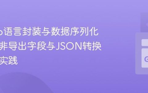 理解Go语言封装与数据序列化：处理非导出字段与JSON转换的最佳实践