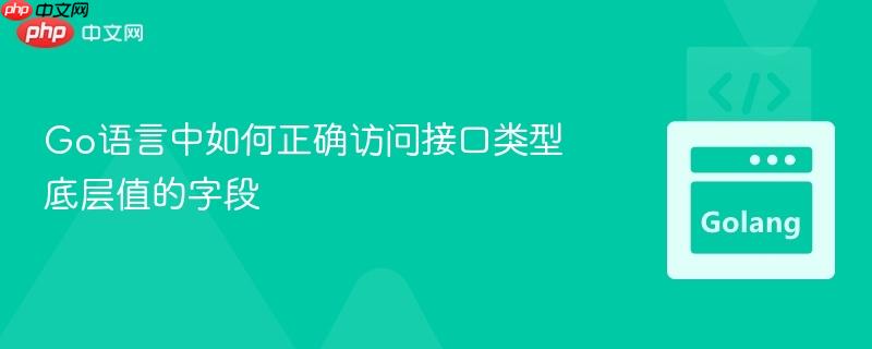 Go语言中如何正确访问接口类型底层值的字段