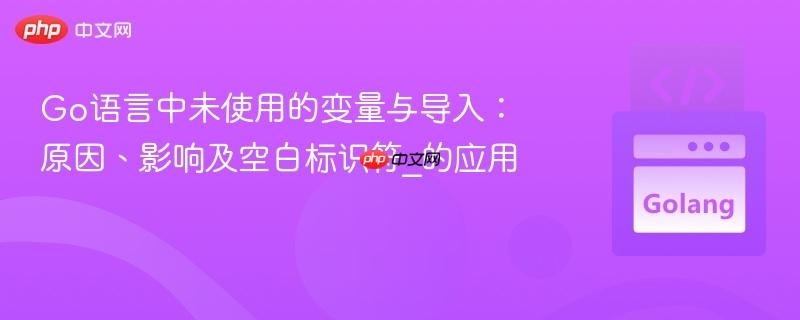 Go语言中未使用的变量与导入:原因、影响及空白标识符_的应用