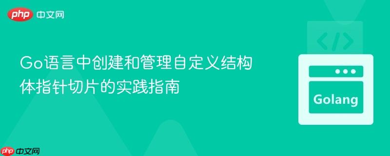 Go语言中创建和管理自定义结构体指针切片的实践指南
