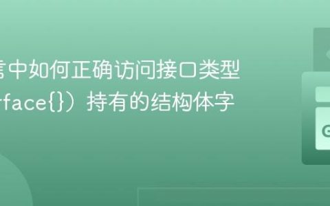 Go语言中如何正确访问接口类型（interface{}）持有的结构体字段