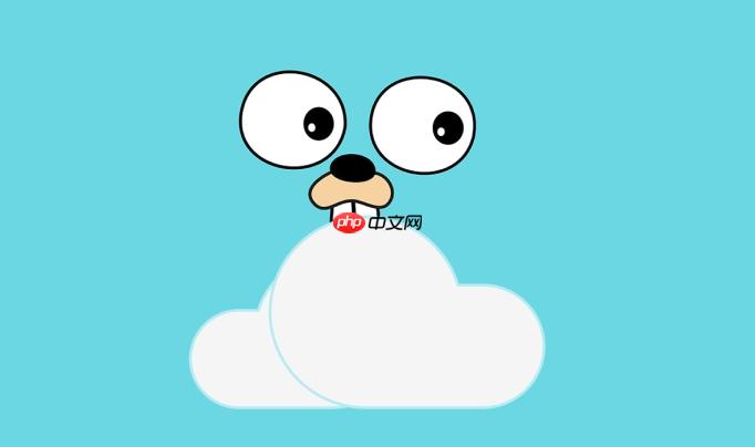 如何在golang中使用指针作为函数参数_golang指针参数传递详解与示例